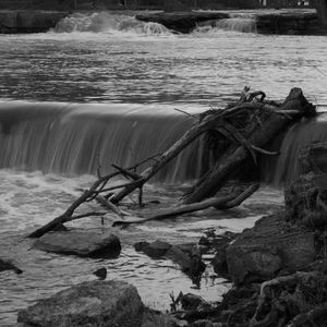 Meet your Posher, Kerri